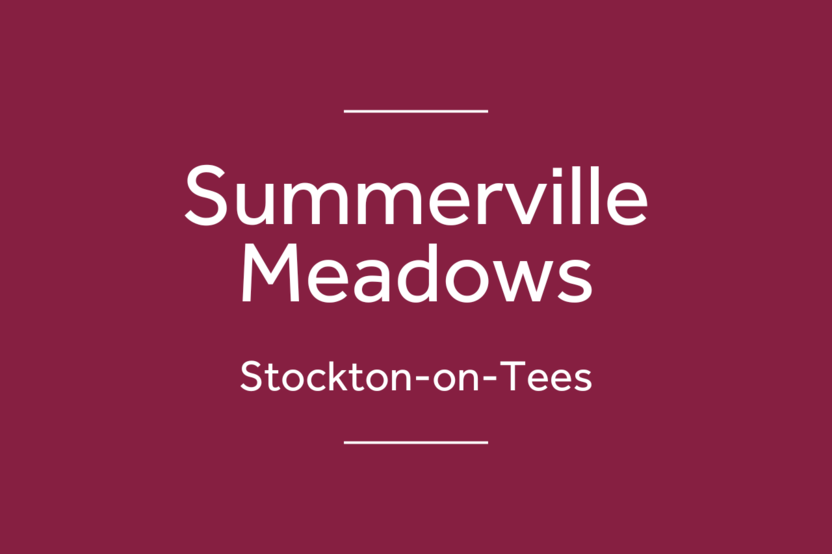 Summerville Meadows — photo 3