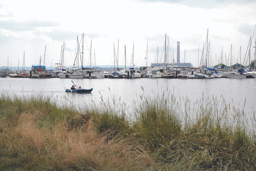 Whiteley Meadows — photo 8
