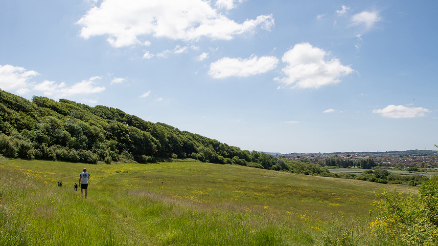 Bincombe Park — photo 4