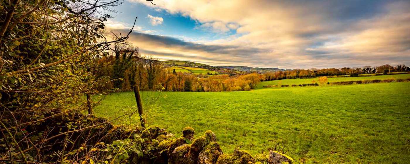 Bryn Castell, Flintshire