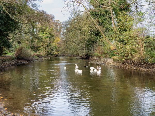 Constable Vale — photo 2