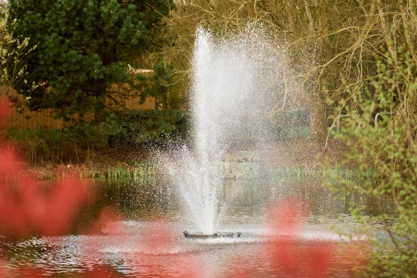 Sonnet Park — photo 7