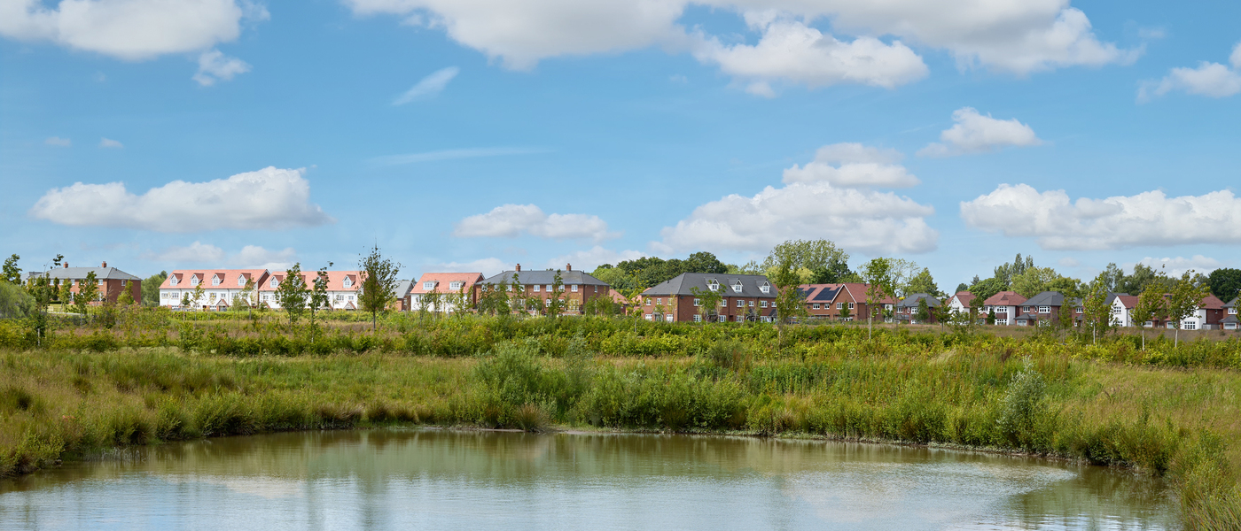 Anson Meadows, Cheshire