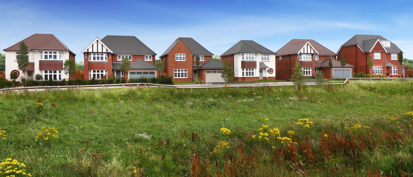 Polden Orchards, Puriton, Somerset