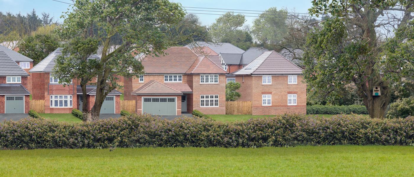 Silverbrook Meadow, Webheath — photo 3
