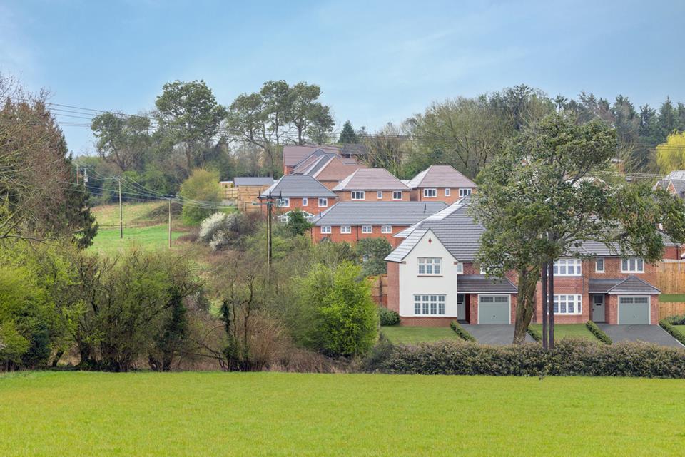 Silverbrook Meadow, Webheath — photo 11