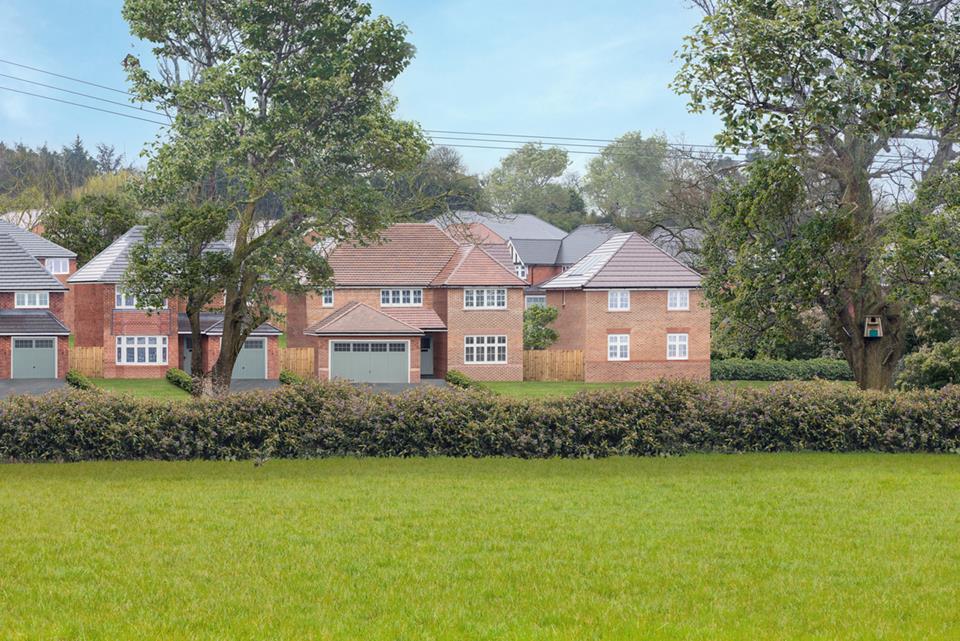 Silverbrook Meadow, Webheath — photo 13