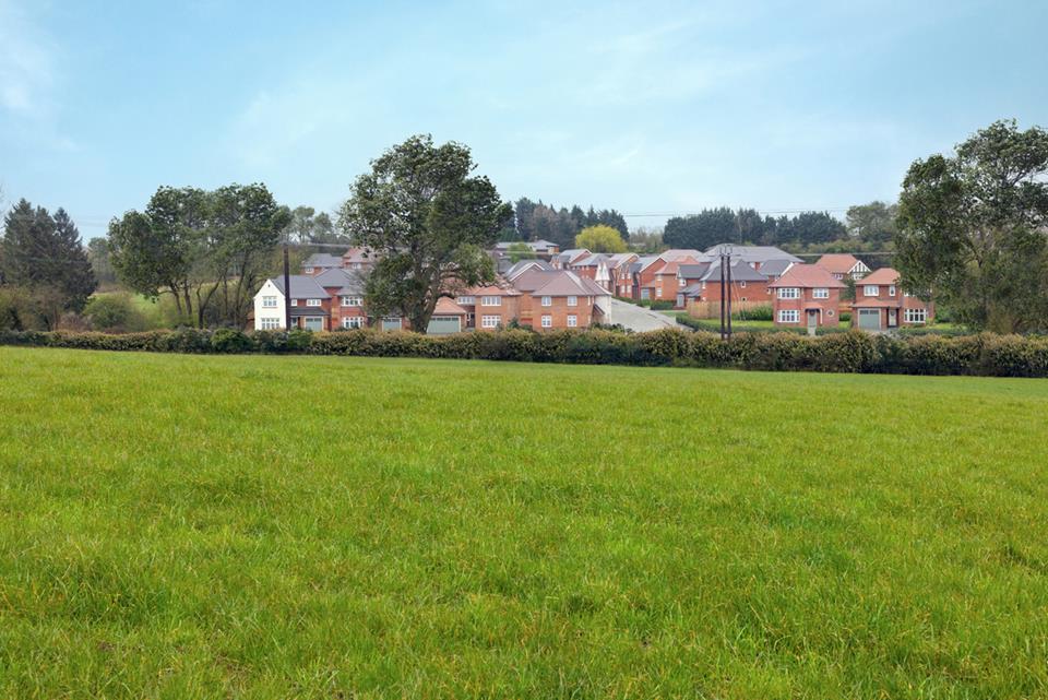 Silverbrook Meadow, Webheath — photo 12