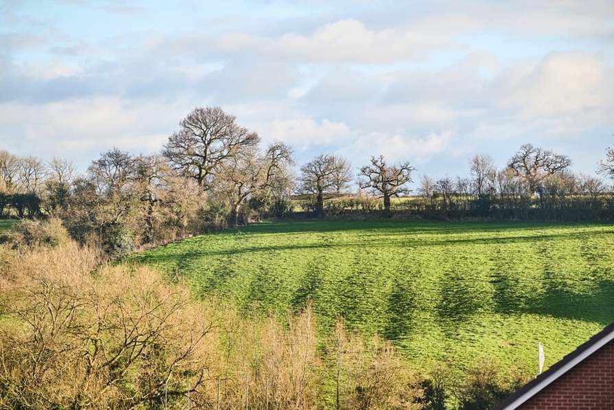 Hamilton Copse — photo 3