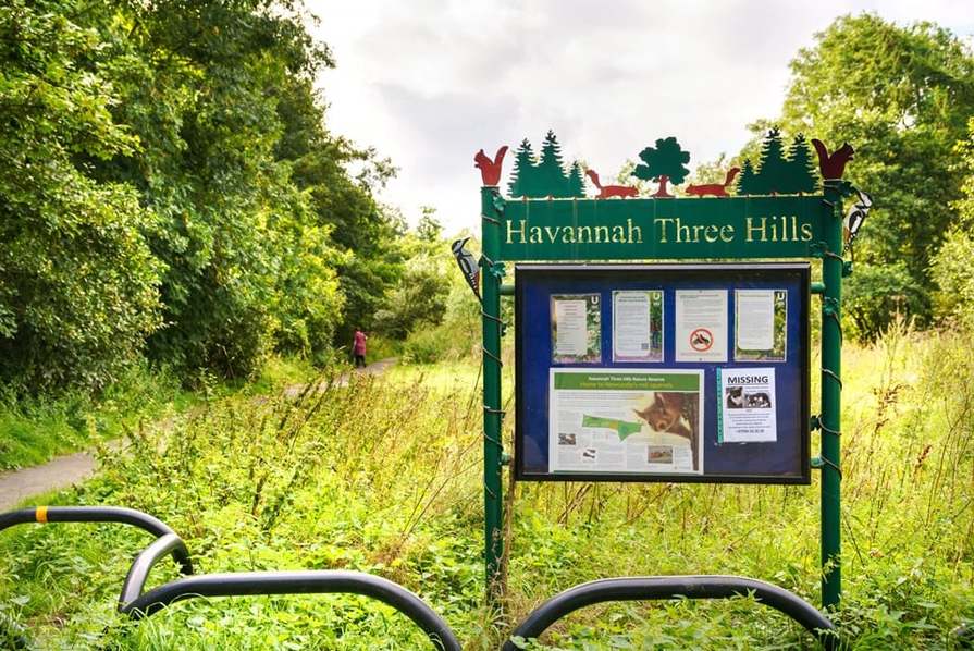 Heathwood at Brunton Rise — photo 10