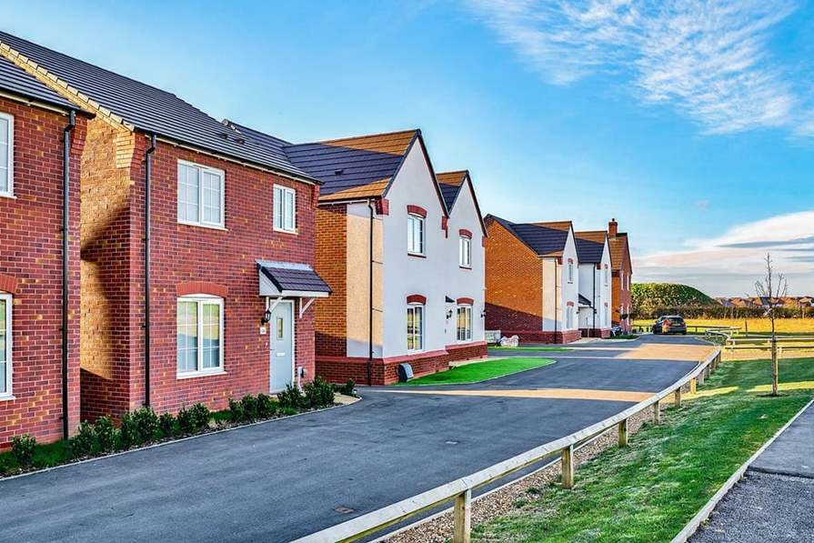 Meadow Green — photo 3