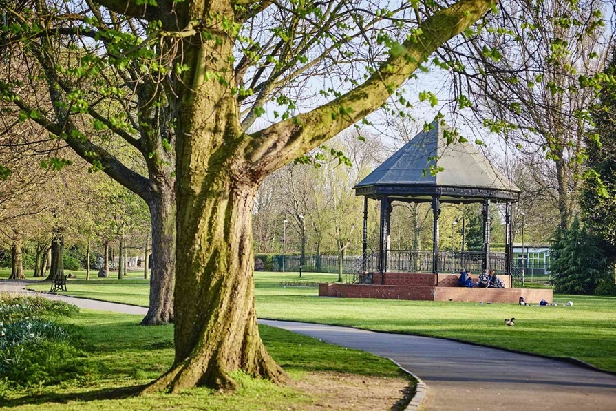 Meadow Green — photo 10