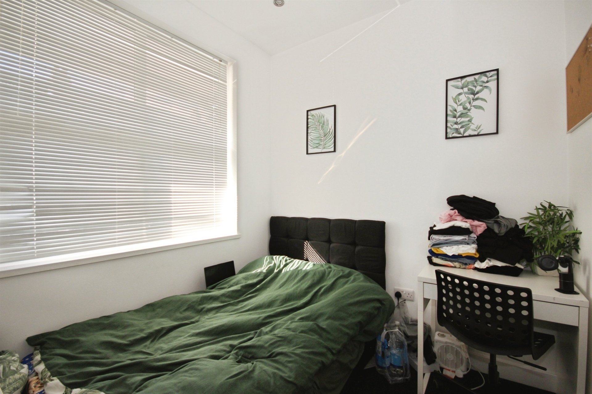 Humber Avenue, Coventry - Image 5