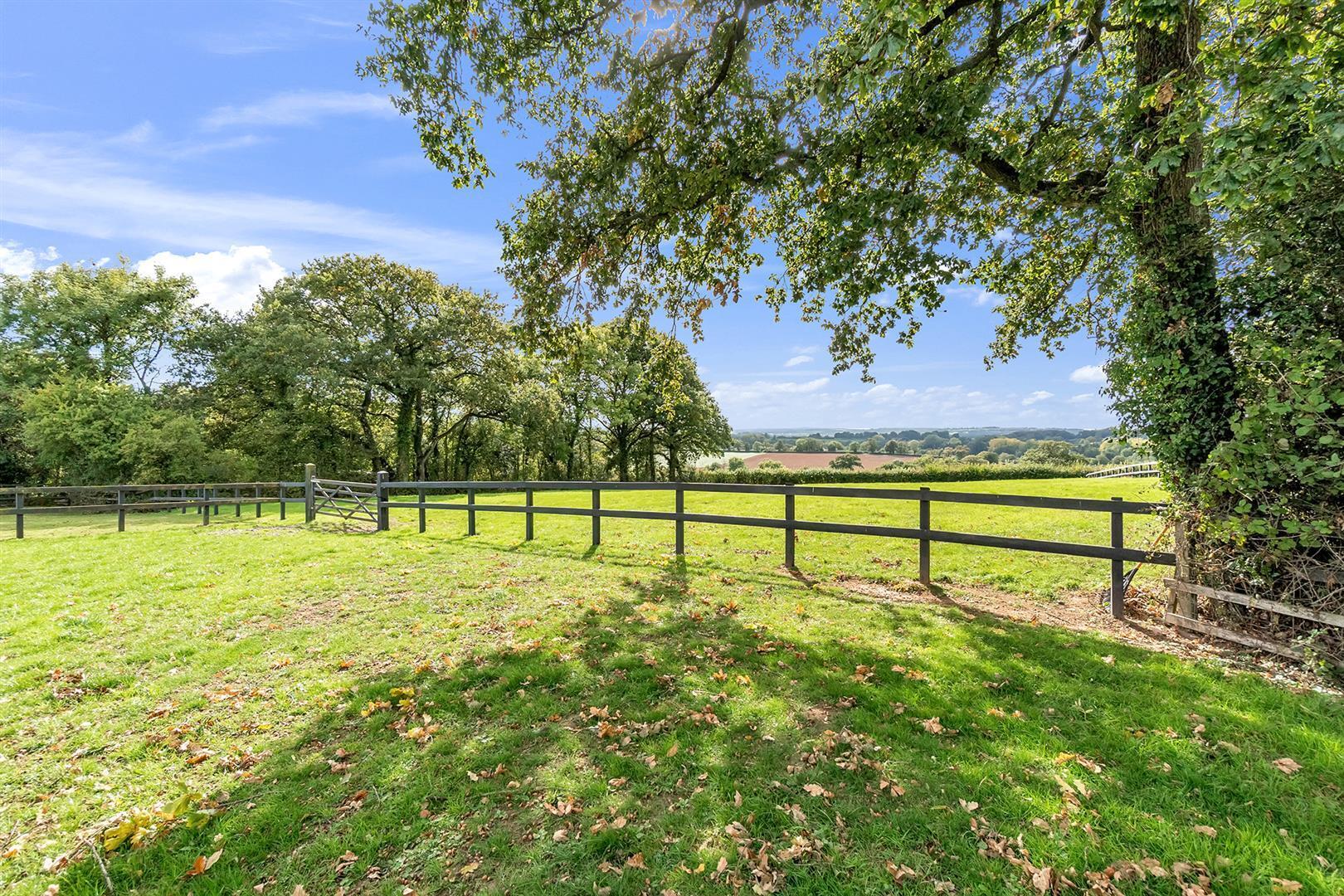 Buckerell, Honiton - Image 11