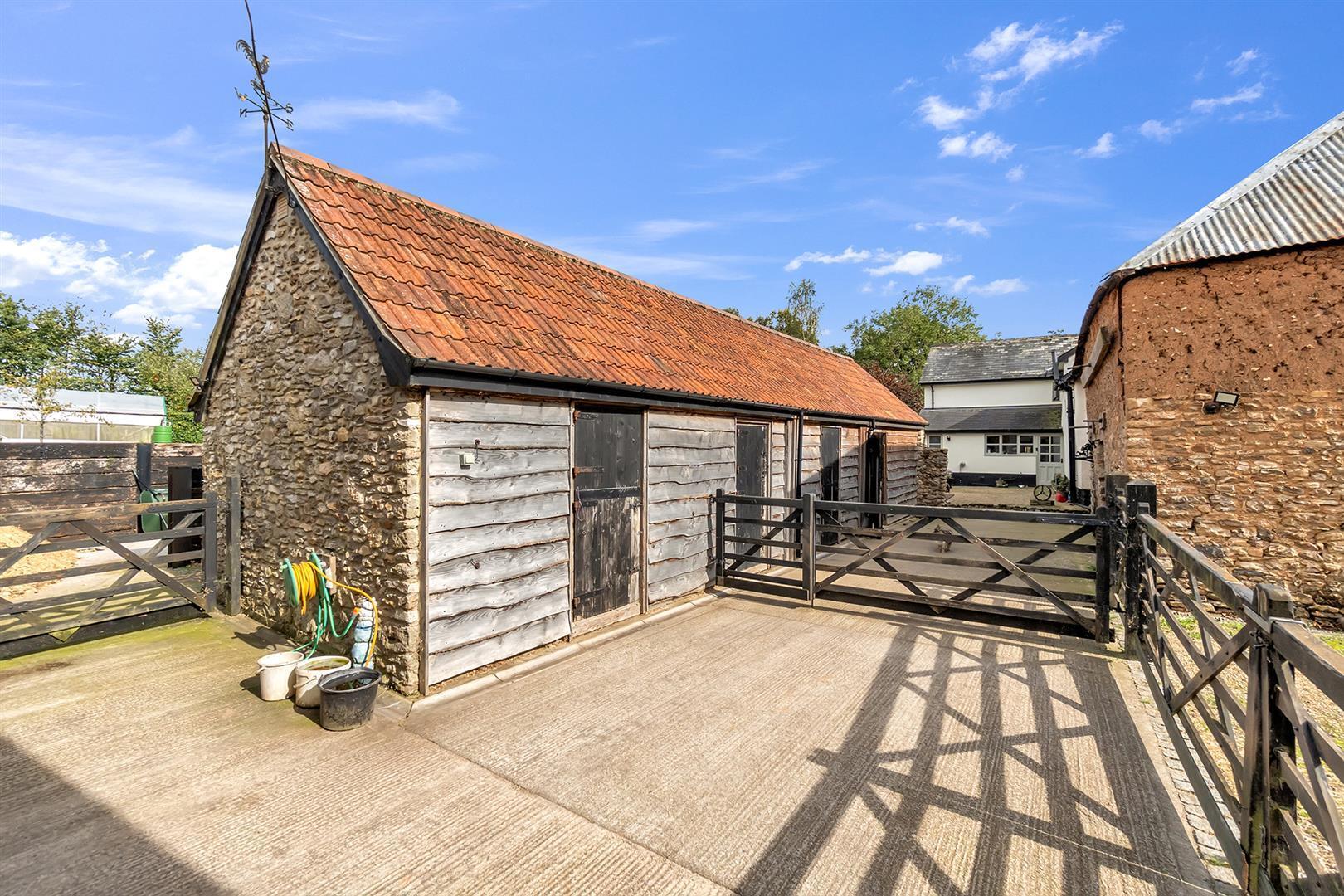 Buckerell, Honiton - Image 12