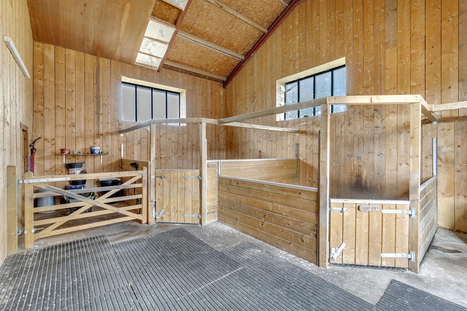 Buckerell, Honiton - Image 13