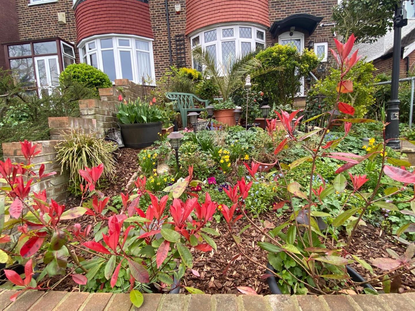 Norwood Park Road, Knight's Hill - Image 13