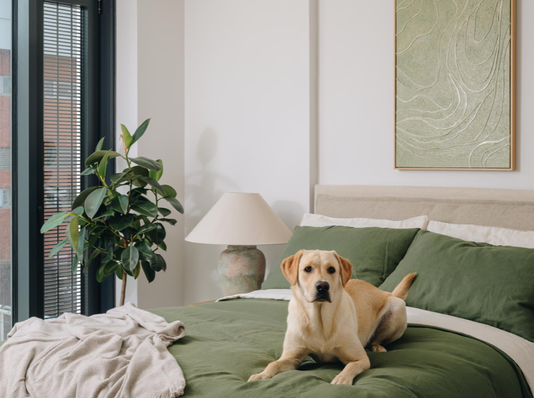 1 bedroom apartment at One Eastside