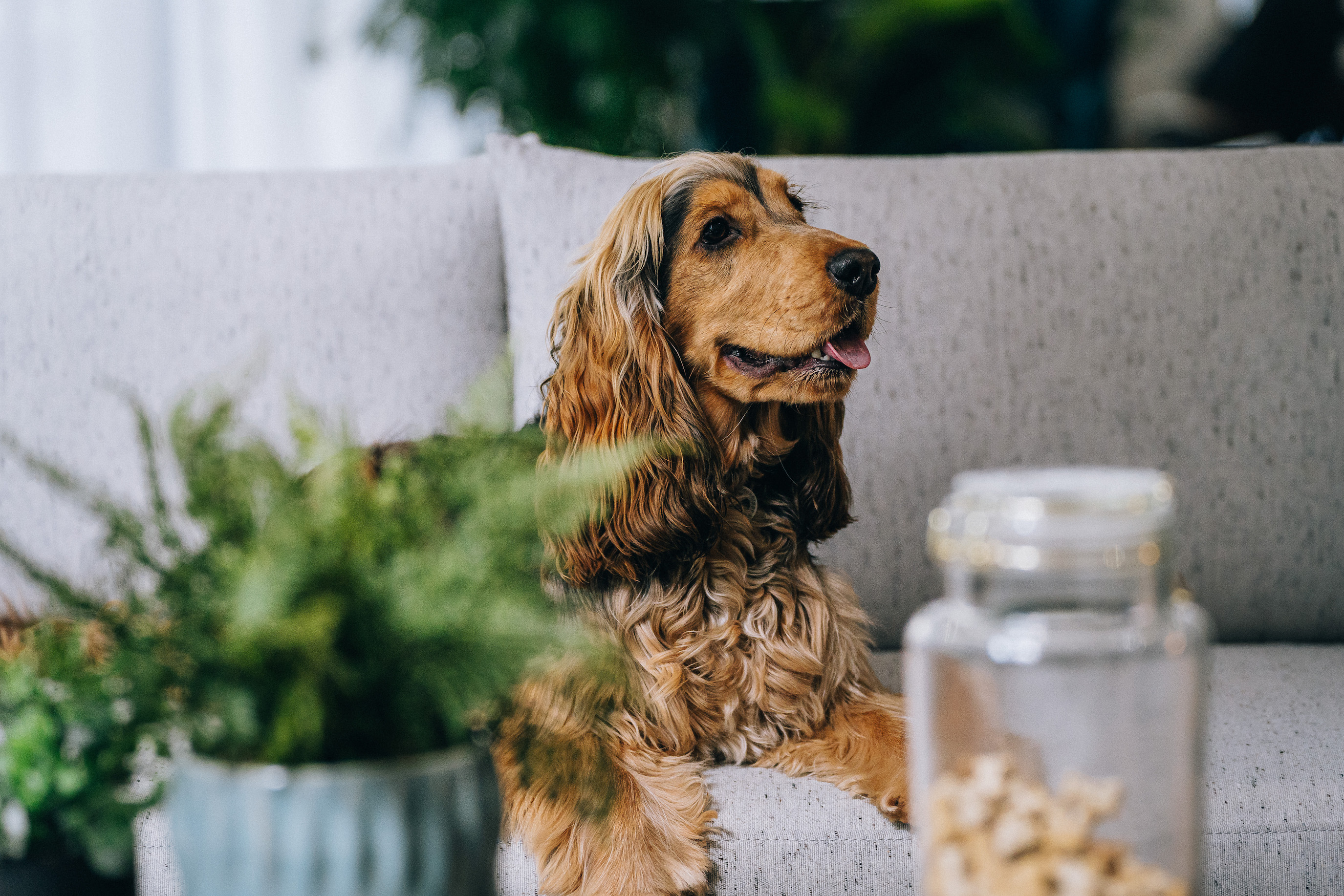 1 bedroom apartment at U&A - Image 9