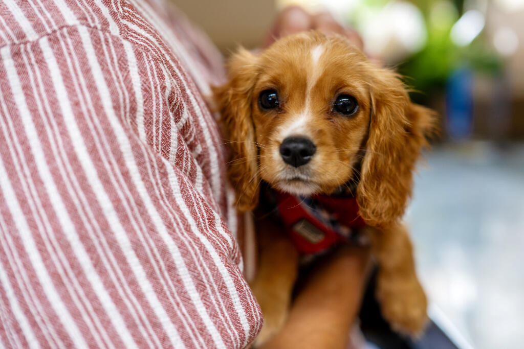 2 bedroom apartment at East Village - Image 7