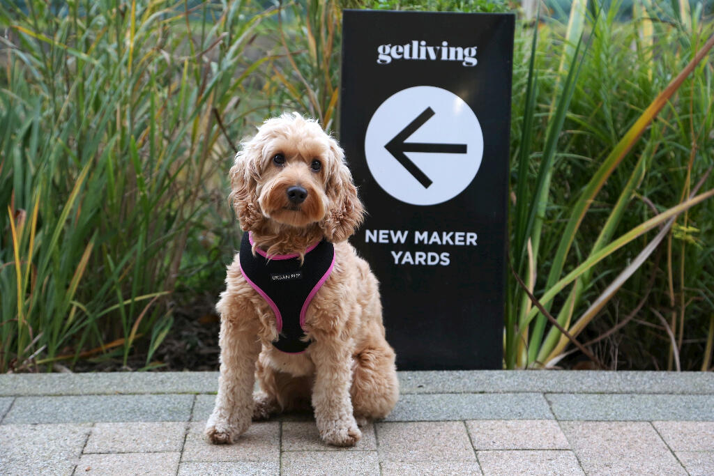1 bedroom apartment at New Maker Yards - Image 15