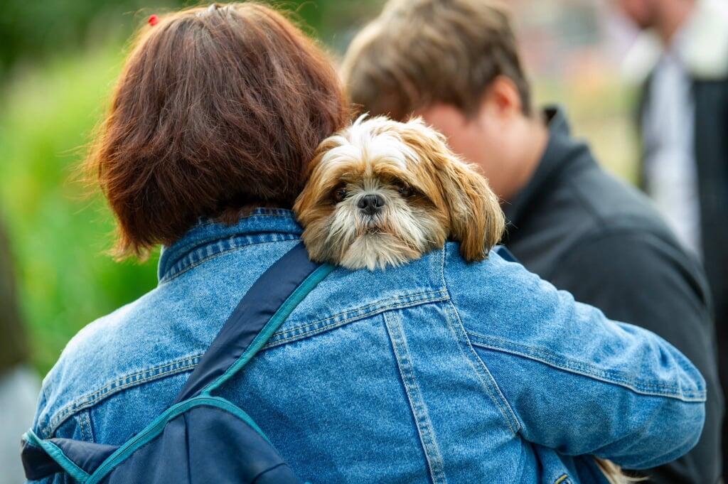 1 bedroom apartment at New Maker Yards - Image 18