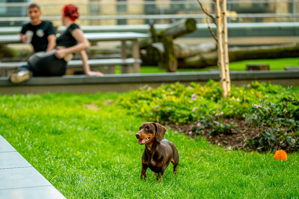 1 bedroom apartment at Elephant Central - Image 14