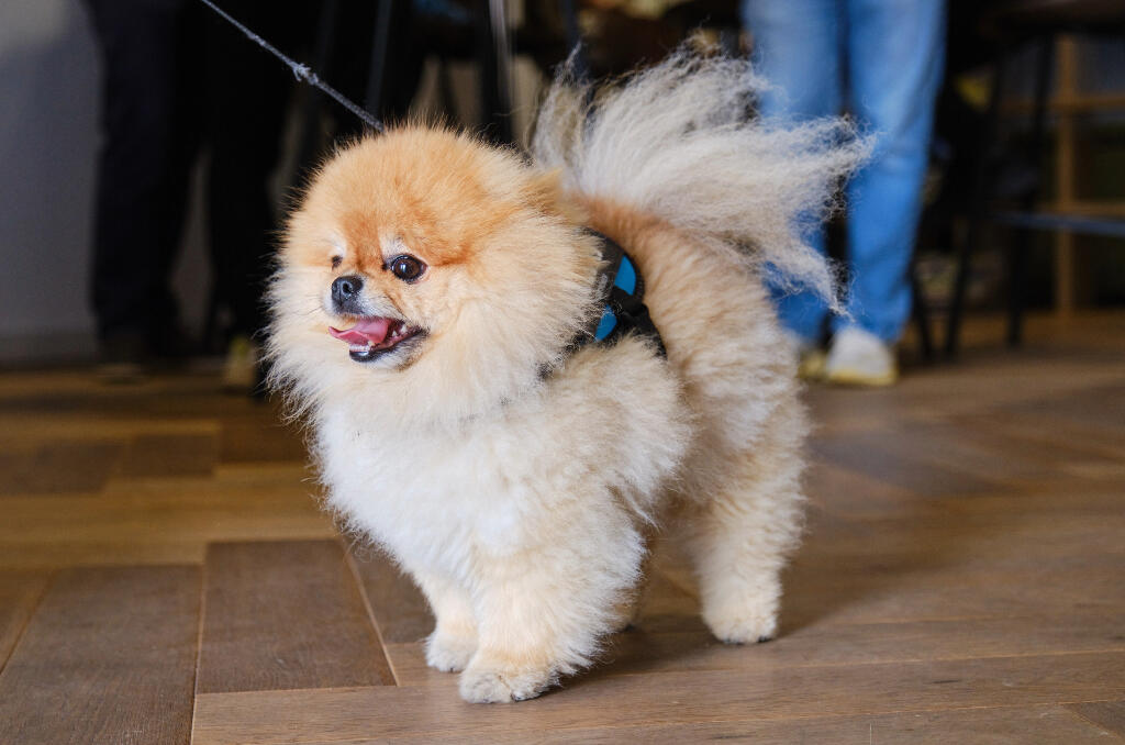 2 bedroom apartment at Elephant Central - Image 12