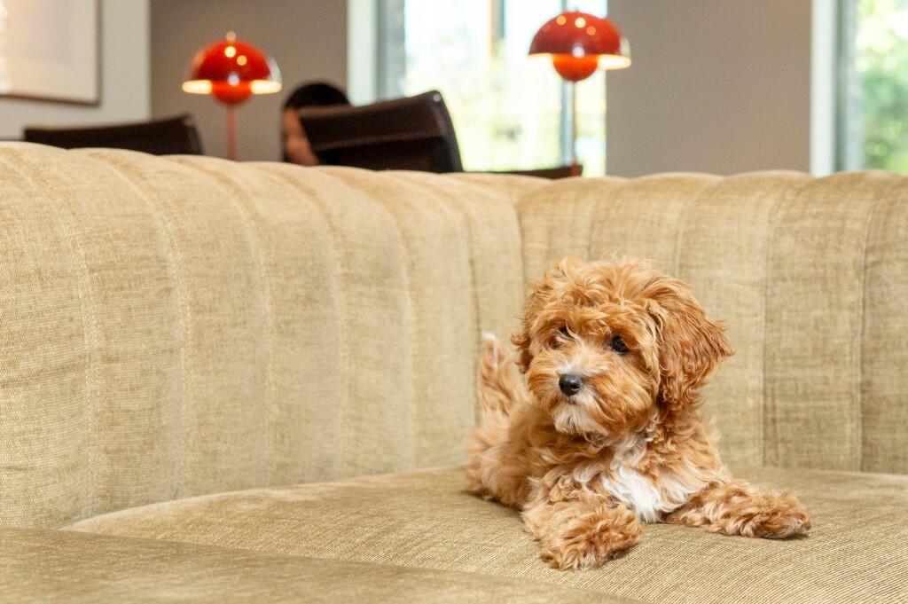 1 bedroom apartment at The Lark - Image 12